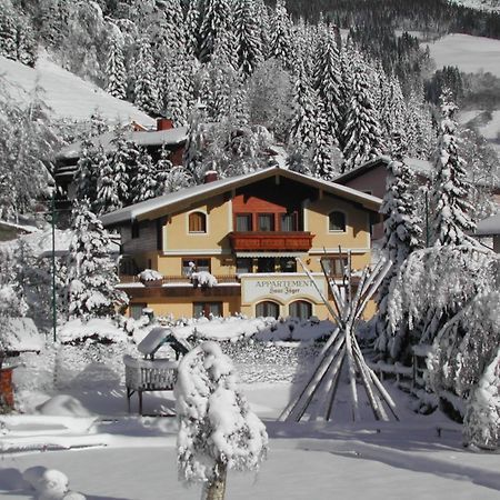 Appartements Landhaus Jaeger Filzmoos Dış mekan fotoğraf