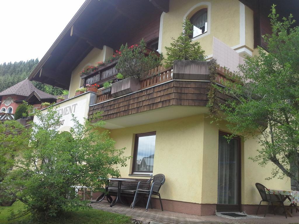 Appartements Landhaus Jaeger Filzmoos Dış mekan fotoğraf